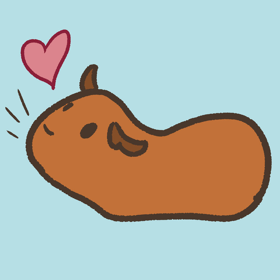 Guinea Pig loves you